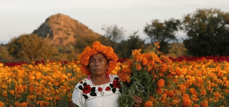El día de muertos se vive en Apaseo el Grande, Guanajuato: Tradiciones, altares y celebraciones