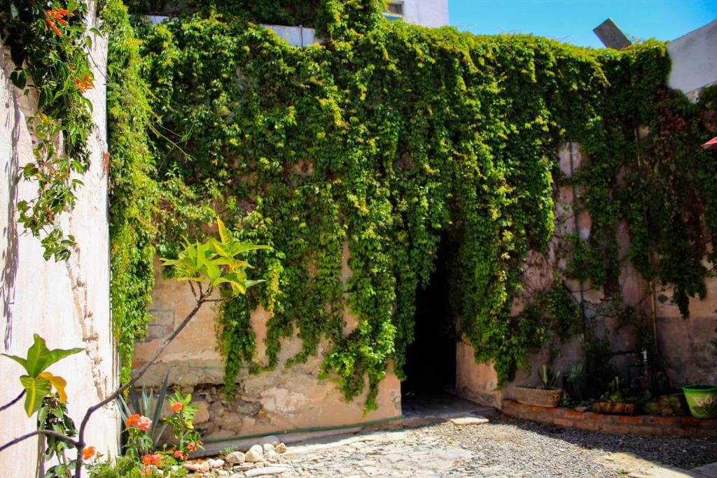 Hotel Boutique Don Porfirio imagen 3